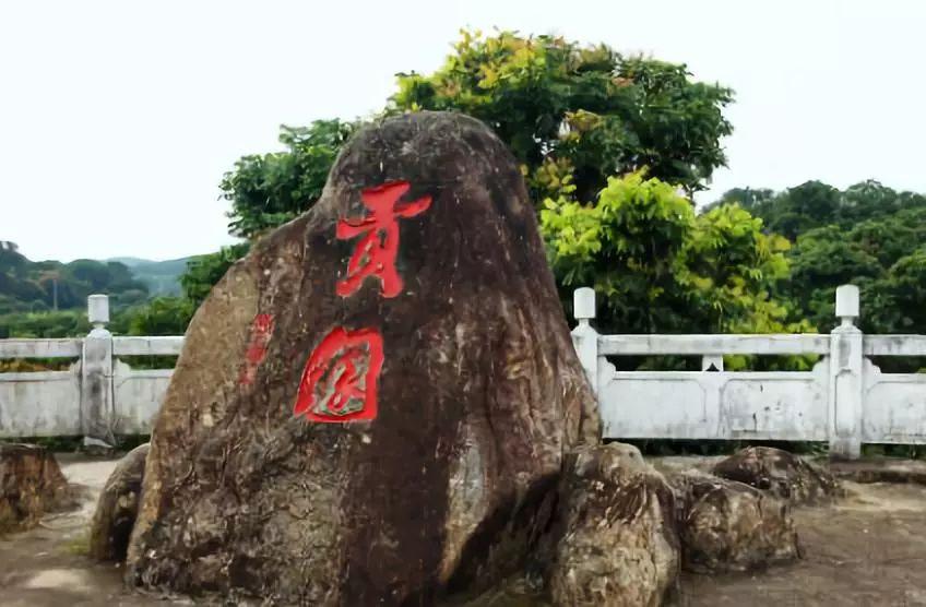世上荔枝千万这颗贵妃独爱