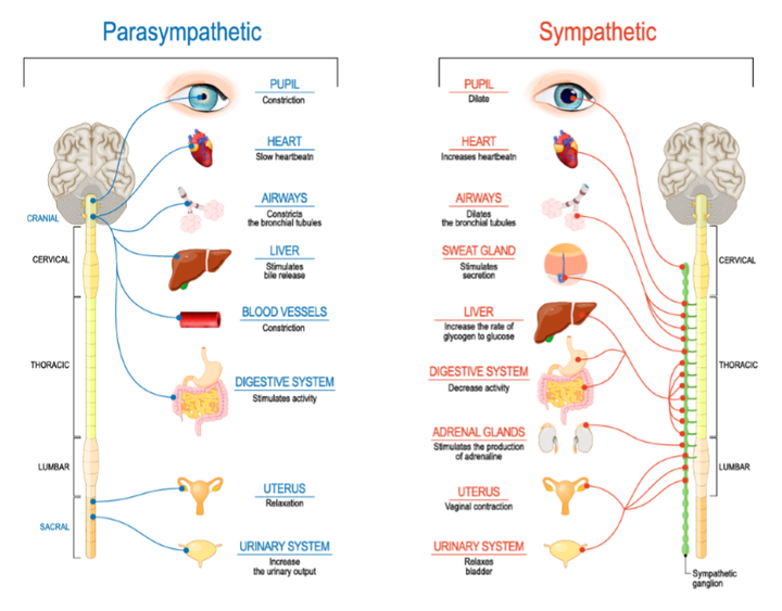 �������������񾭻|�񾭿�ѧ1001�ʡ���������ϵͳ - ֪��