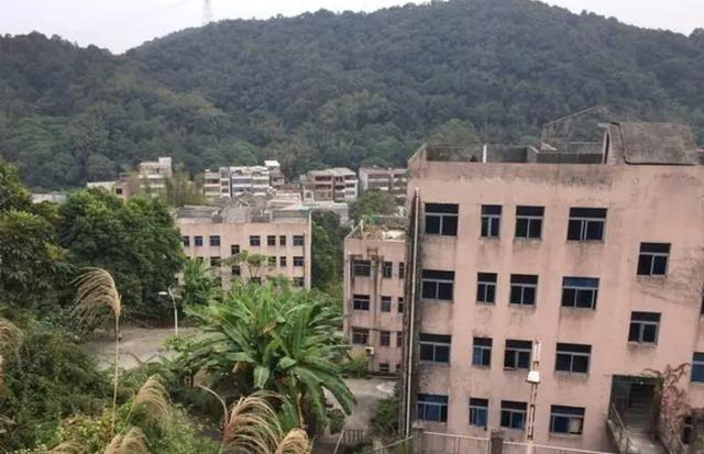 北大研究生马敏庄投身西北教育20余年今89岁住烂尾楼直到死去