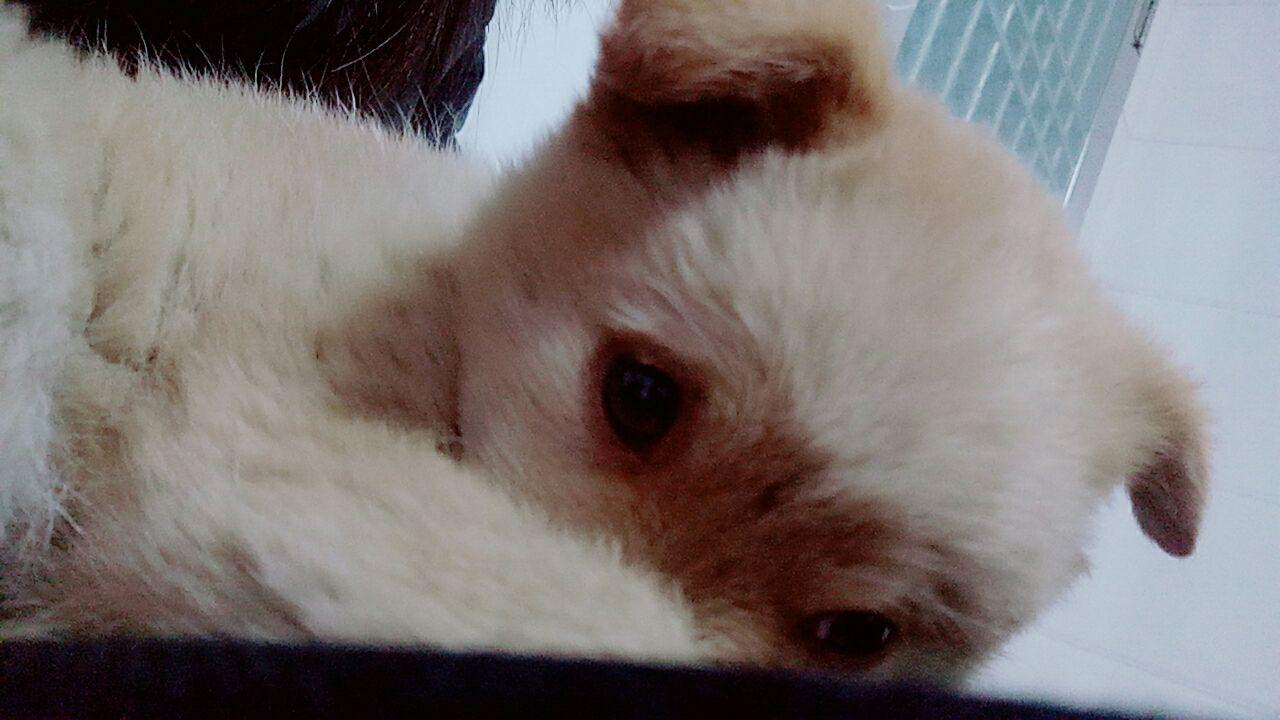 老鼠和猫一起睡猜成语_看图猜成语