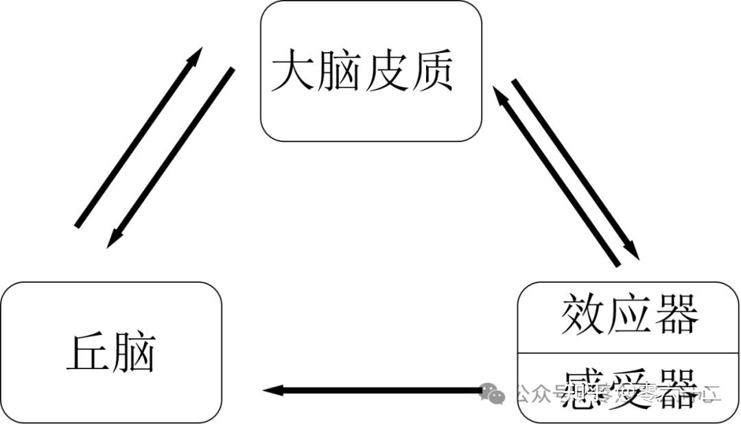 《问心——关于意识的理论模型》简介 - 知乎