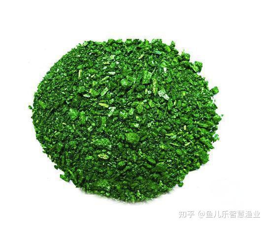 这样的虾,是加了孔雀石绿吗? - 知乎