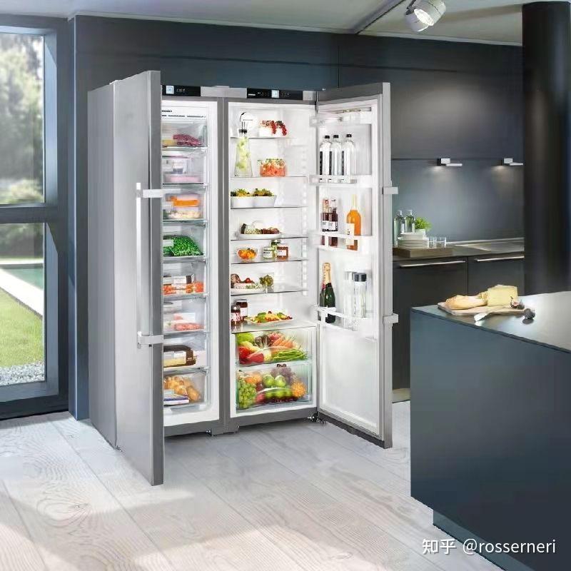 德国进口冰箱利勃海尔7242