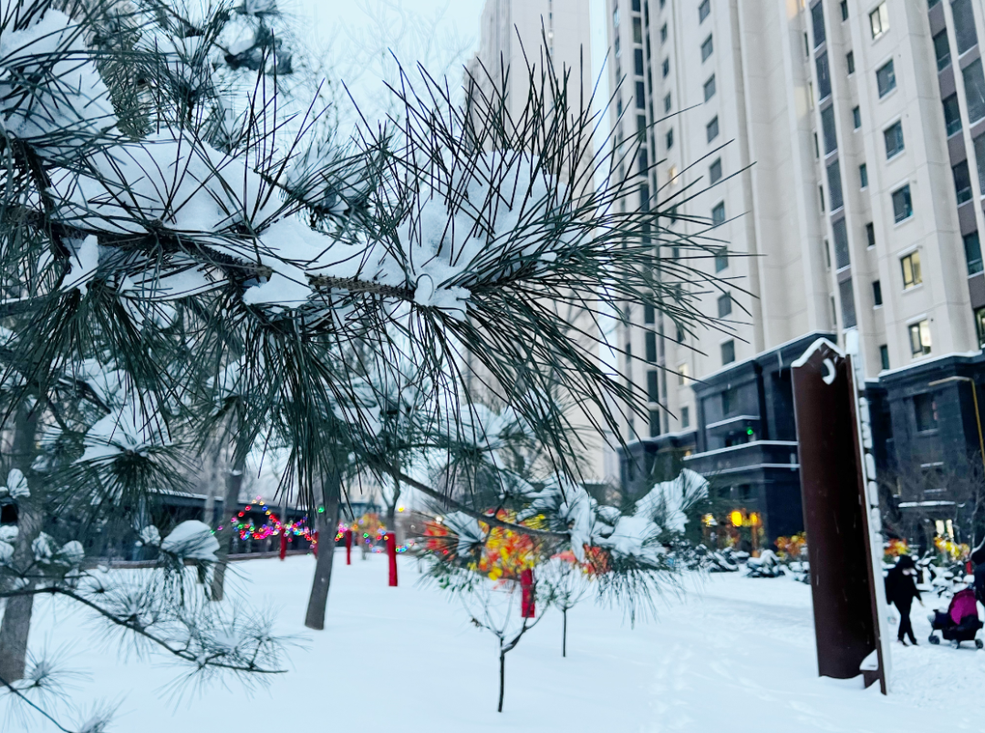 受降雪影响山西境内多条高速公路交通管制