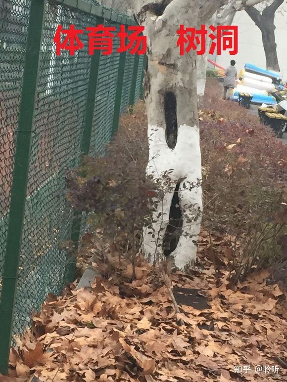 《南大碎尸案》—— 案情推演篇