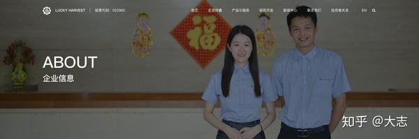 深圳网站建设哪家好？(图6)