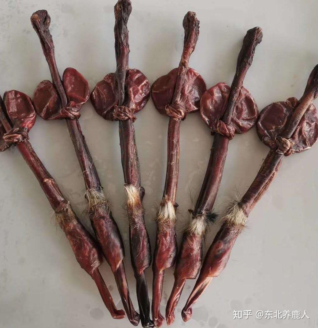 补肾,一般指的是补肾阳,鹿茸有中华补阳第一要药的美誉,鹿鞭被尊为鞭