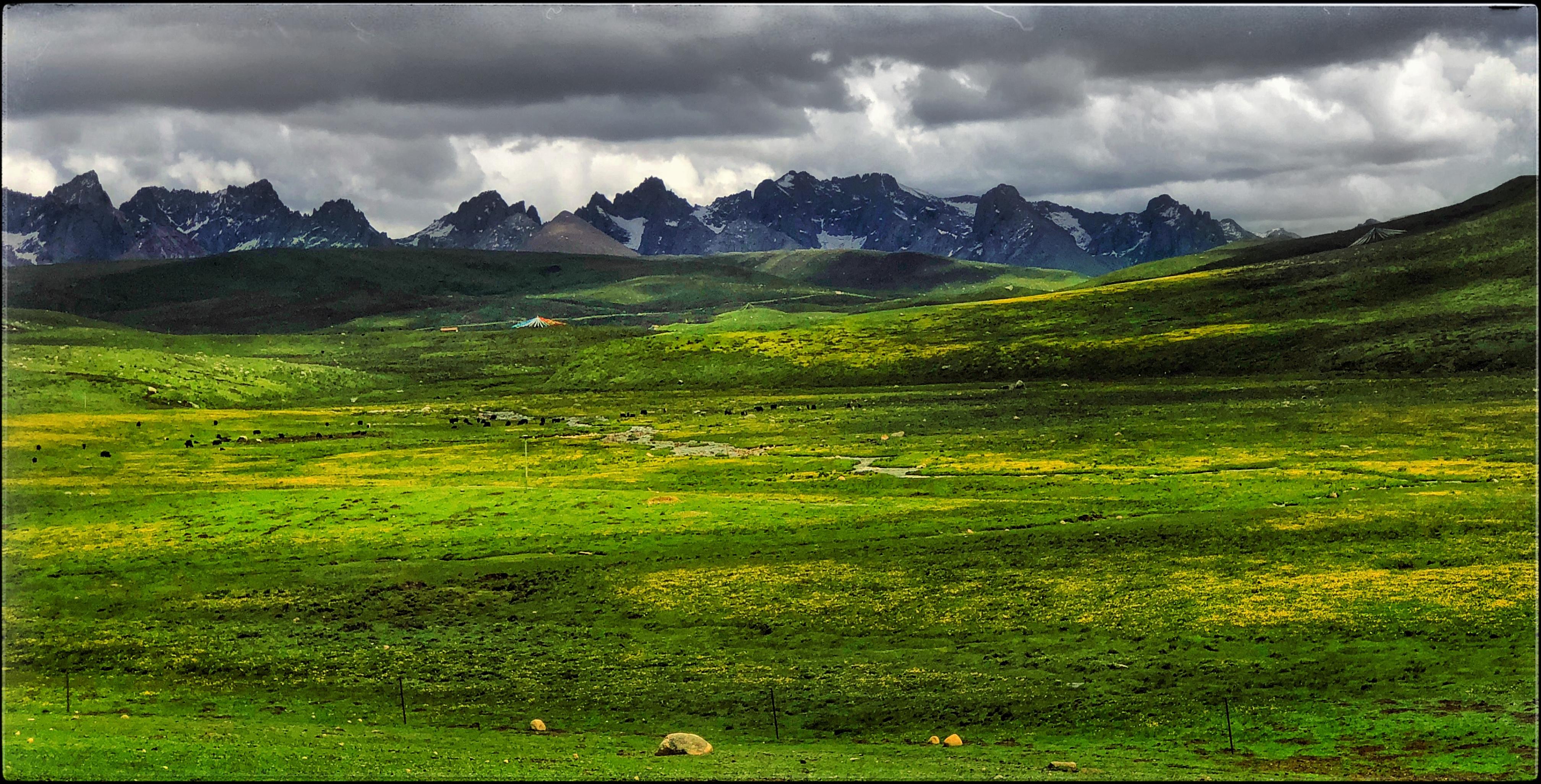 手机摄影分享26--年宝玉则20180620