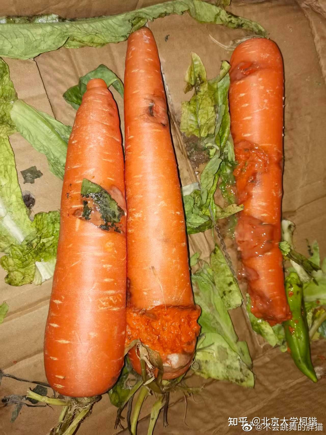 上海市民收到腐烂蔬菜