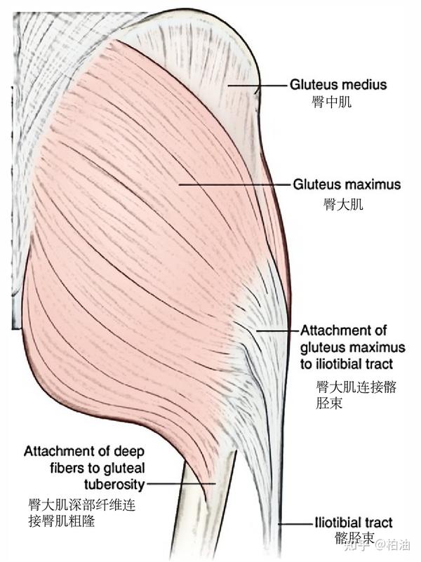 奇门遁甲在线观看