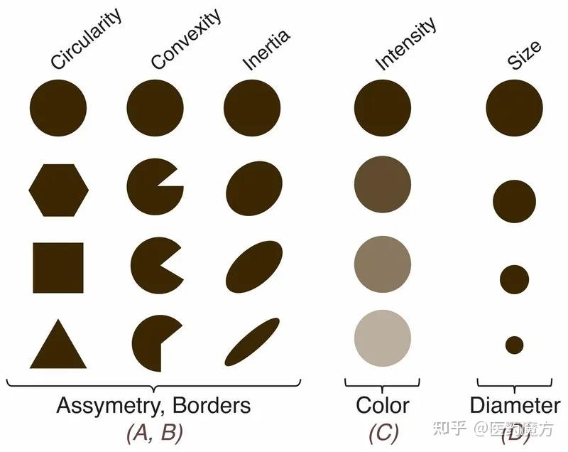 准确率近90更早捕获皮肤癌哈佛新型ai系统成功辅助诊断science子刊