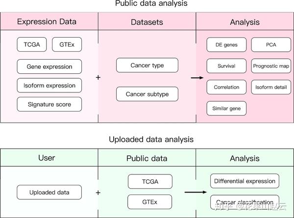TCGA数据分析系列（二）：数据库之GEPIA2 - 知乎