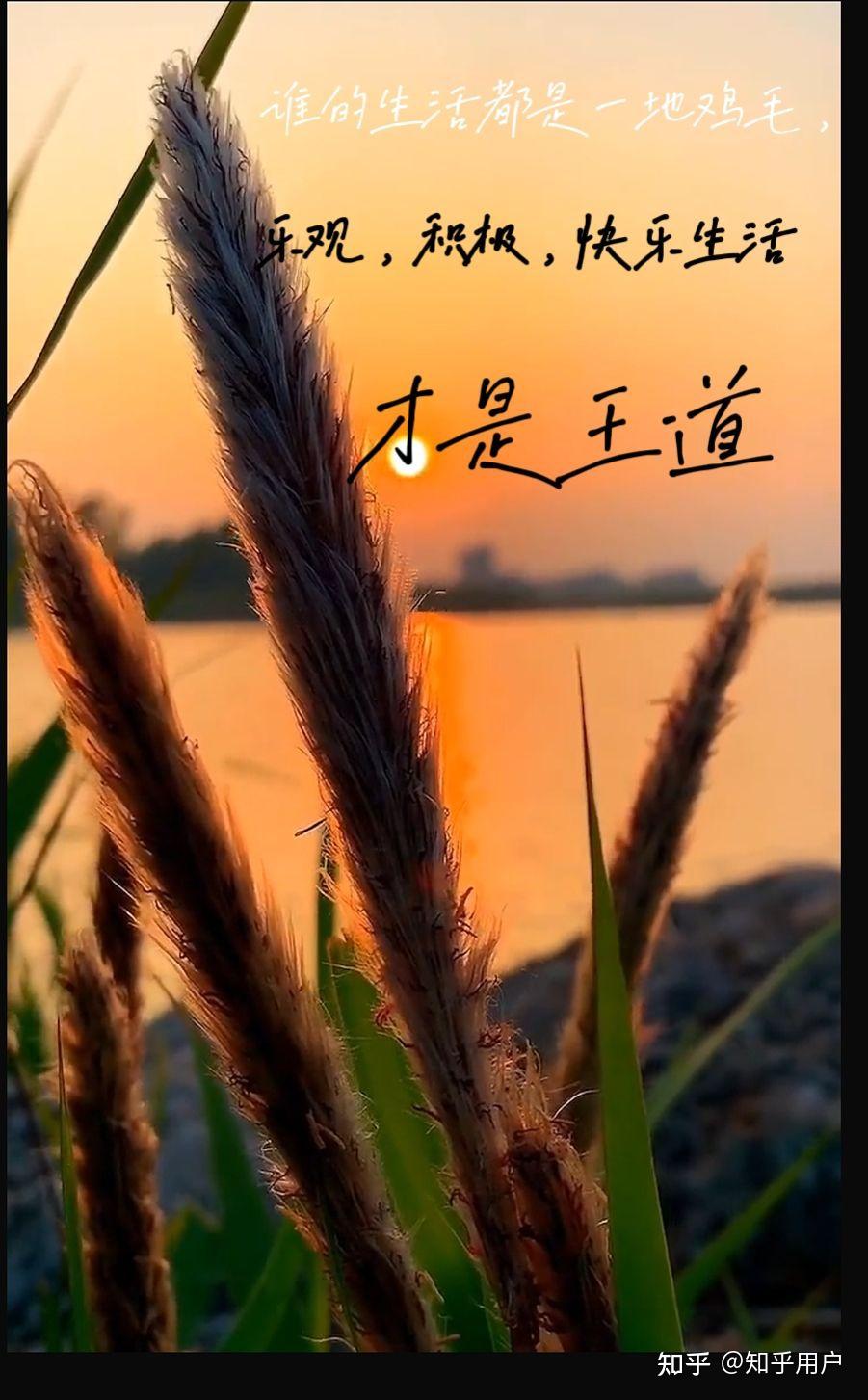 谁的生活不是一地鸡毛 - 知乎