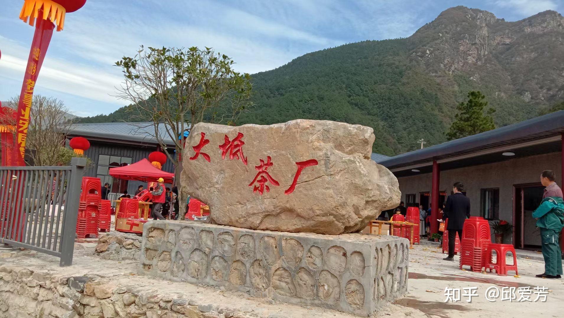 村里还发展了舜赐茶,既可让乡村眼望一碧千里,又可为"三高"患者解忧