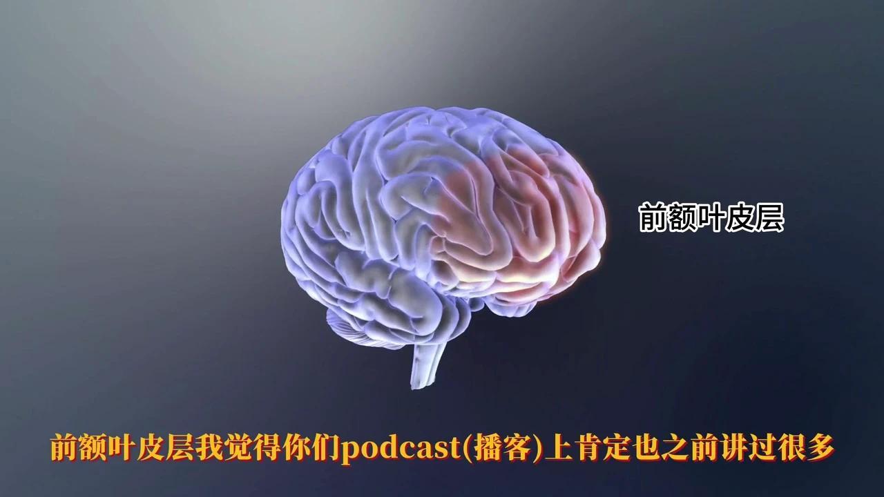 注意力的脑科学机制及其神经调控基础 - 知乎