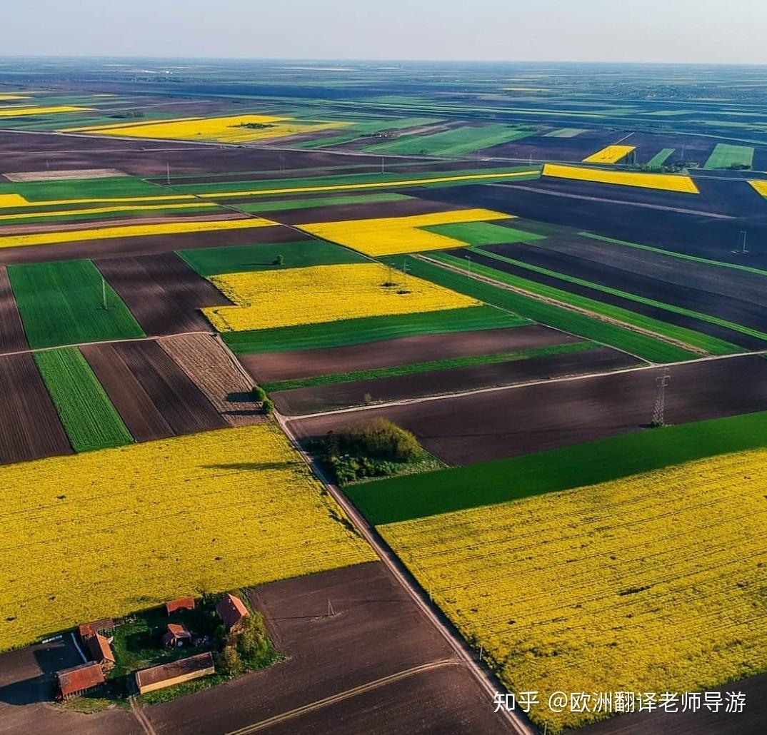 强国最高市gdp_学习强国图片(3)