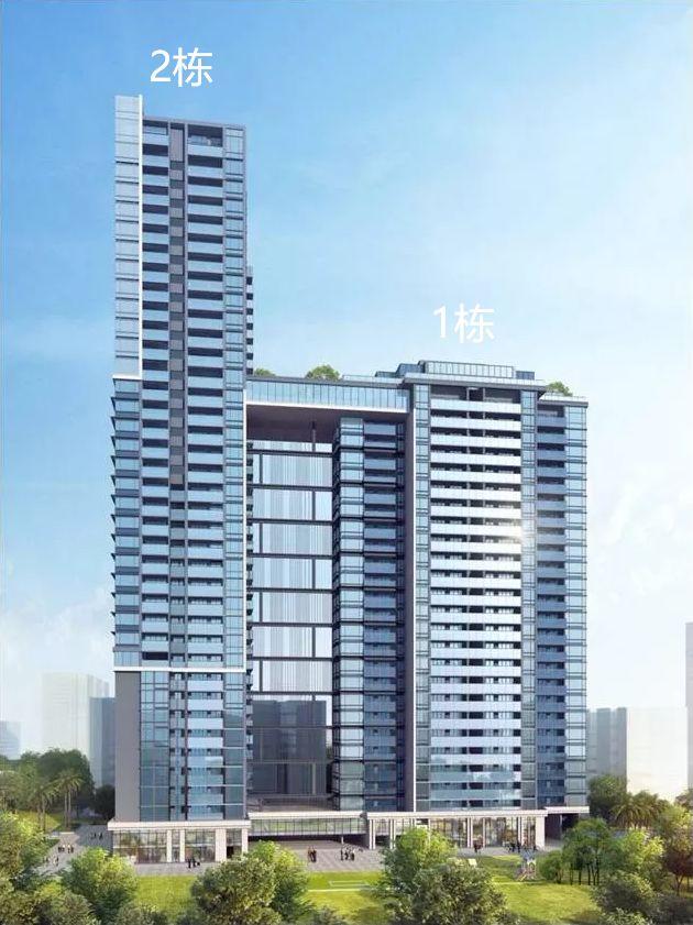 起底臻林10万值不值独家披露户型图选房指南