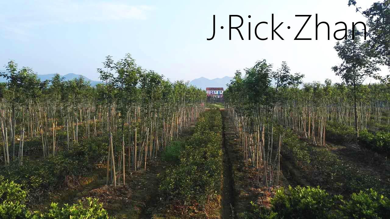 江苏苗圃最大基地有哪些
