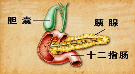 胰腺癌早期發病隱秘,哪些高危人群需提前預防?