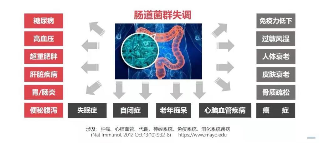 肠道微生态系统严重破坏,单纯依靠手术和药物很难恢复