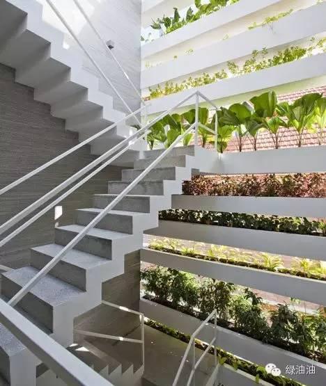 《健康家》室内绿化植物!了解最新室内设计、风水、花草养护 - 知乎