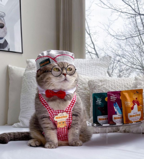 "不过即使走红了,本森也还是那只平静有耐心的小猫.