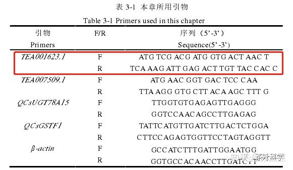 2. 输入文献中的引物序列