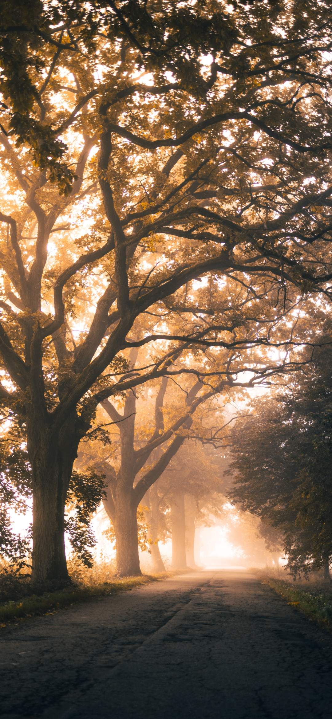 iphone高级感手机壁纸