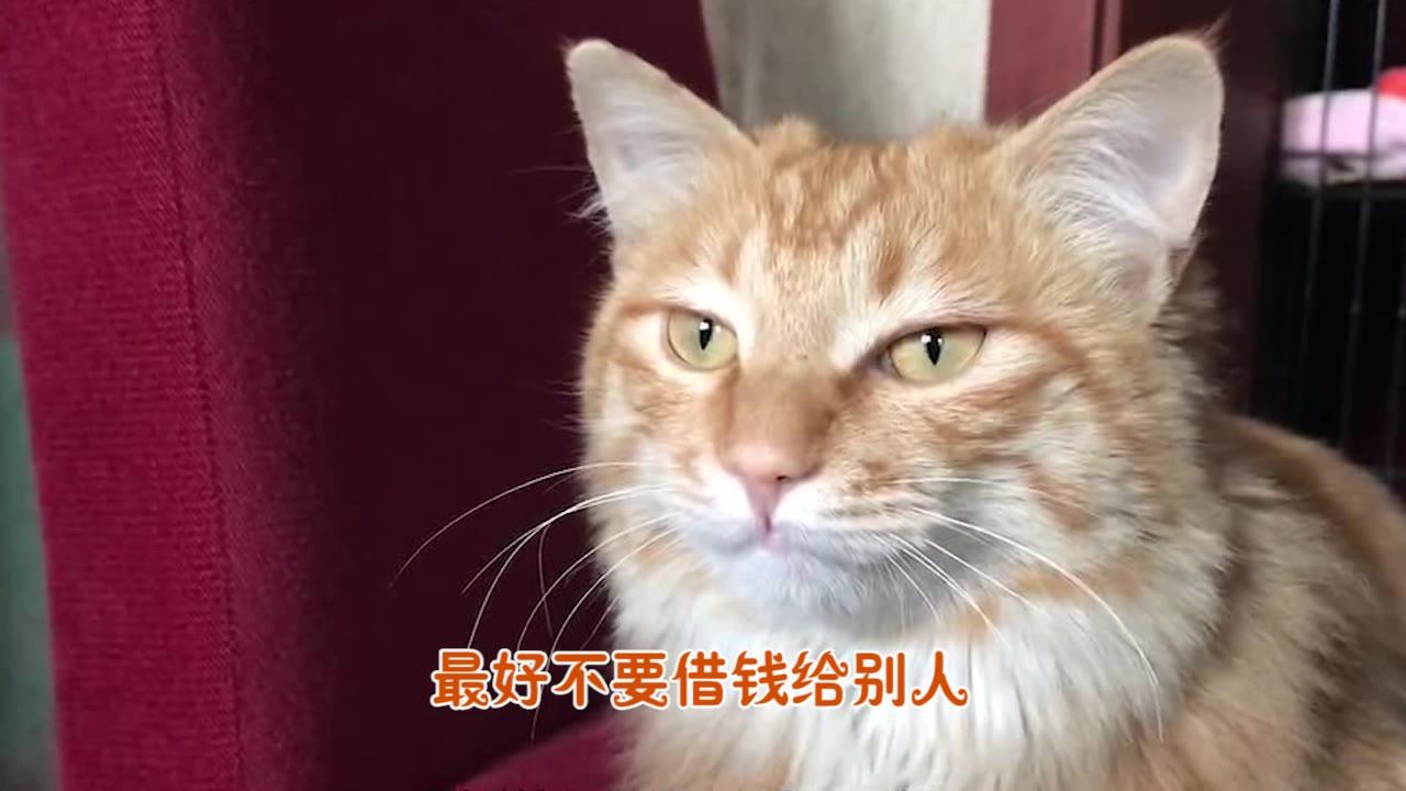 借出钱的是孙子借钱不还的是大爷那么怎样才能拒绝别人借钱呢