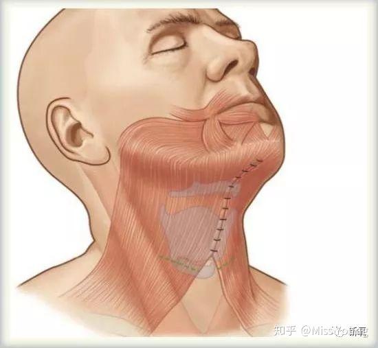 倪妮是偷偷去做了下巴肌肉捆绑吗…这个天鹅颈太优秀!