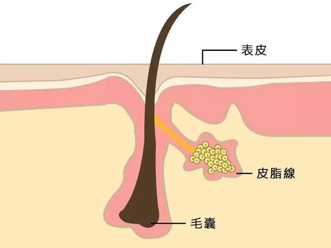 品牌