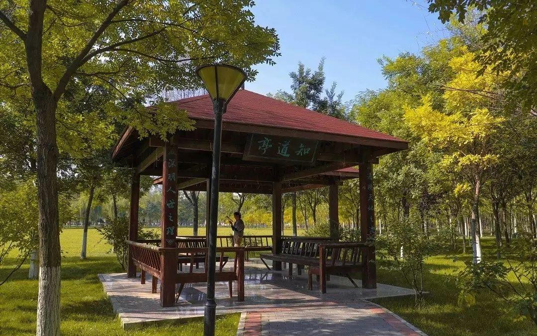 兰州财经大学lzufe和平校区校园有哪些让你喜爱的靓丽景观