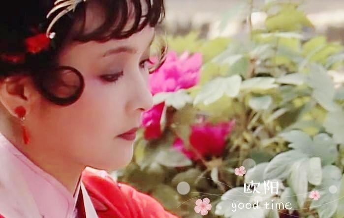 贾母问宝琴生日是要为宝玉求配吗