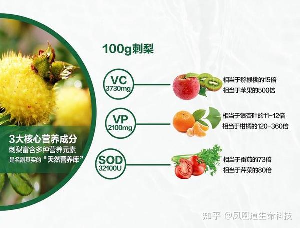 刺梨_刺梨汁的功效与作用及禁忌食用方法