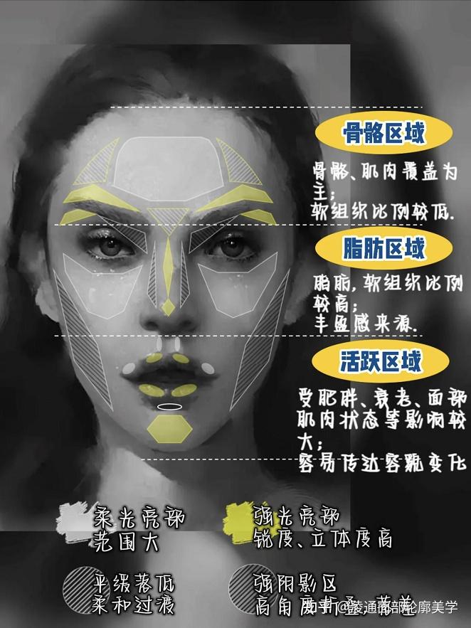 三庭五眼光影美学之——上庭 - 知乎