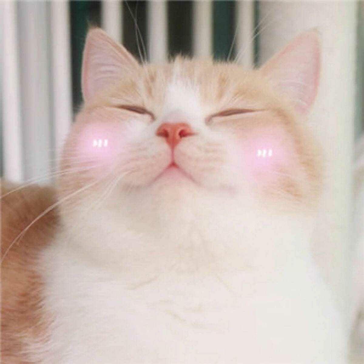 本科211非英专,考学科英语教学专硕,以后做英