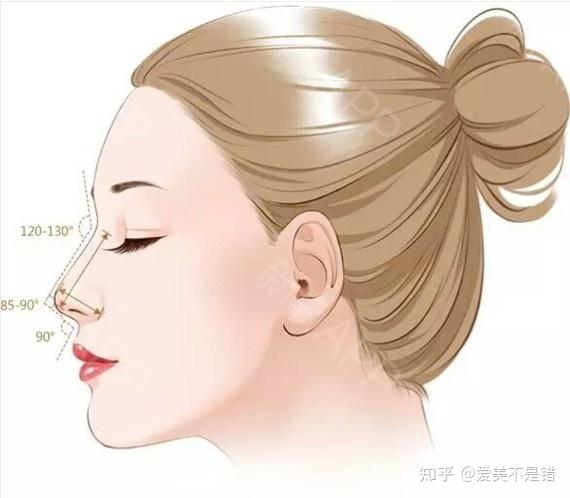 宋茂启解读:你的鼻子塌吗? - 知乎