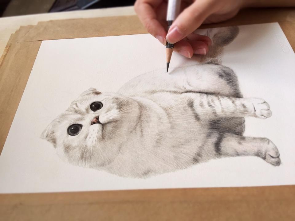 画彩铅画用什么纸较好呢?