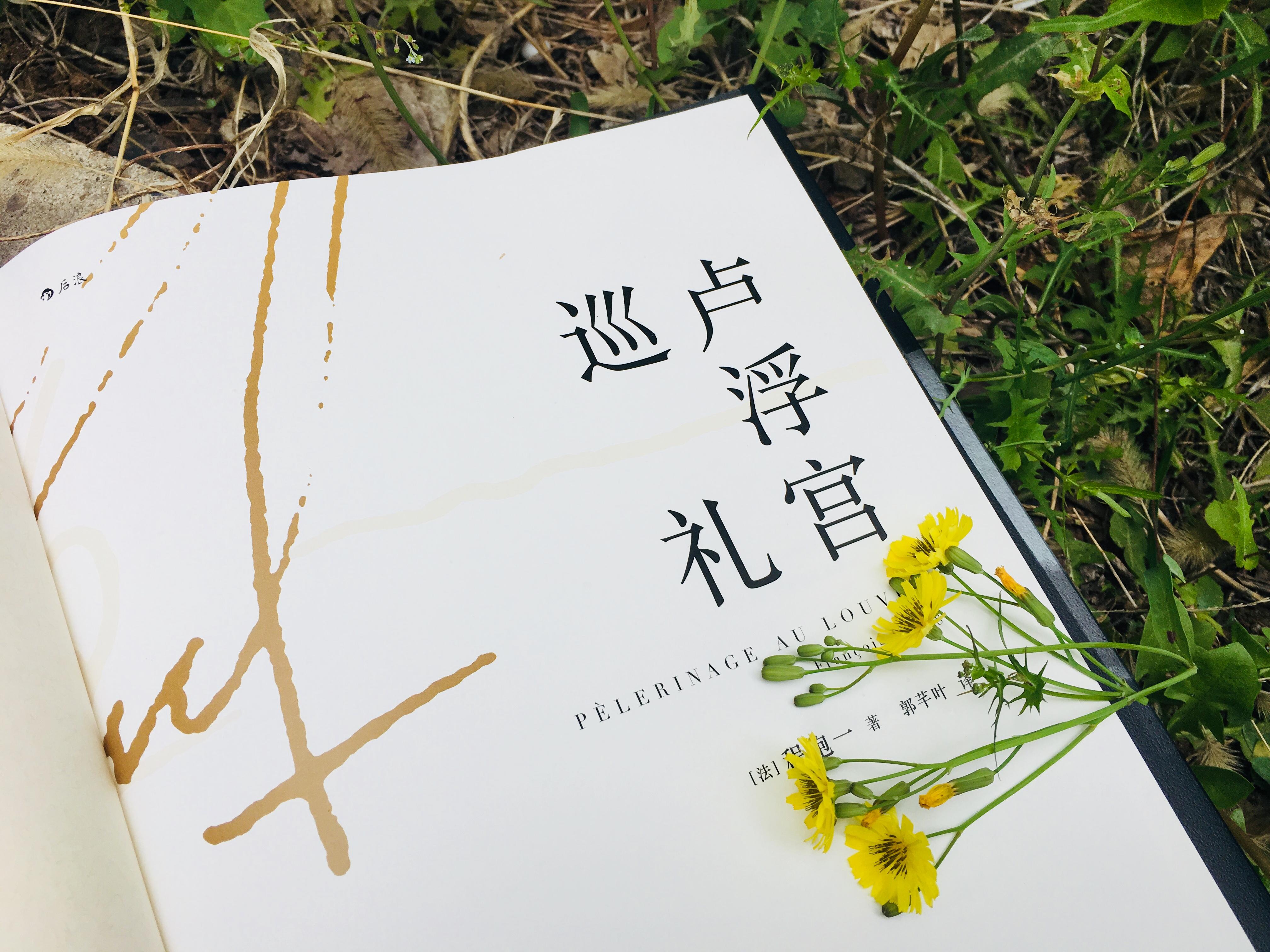 卢浮宫巡礼:色彩的魔法,无价的宝藏 - 知乎