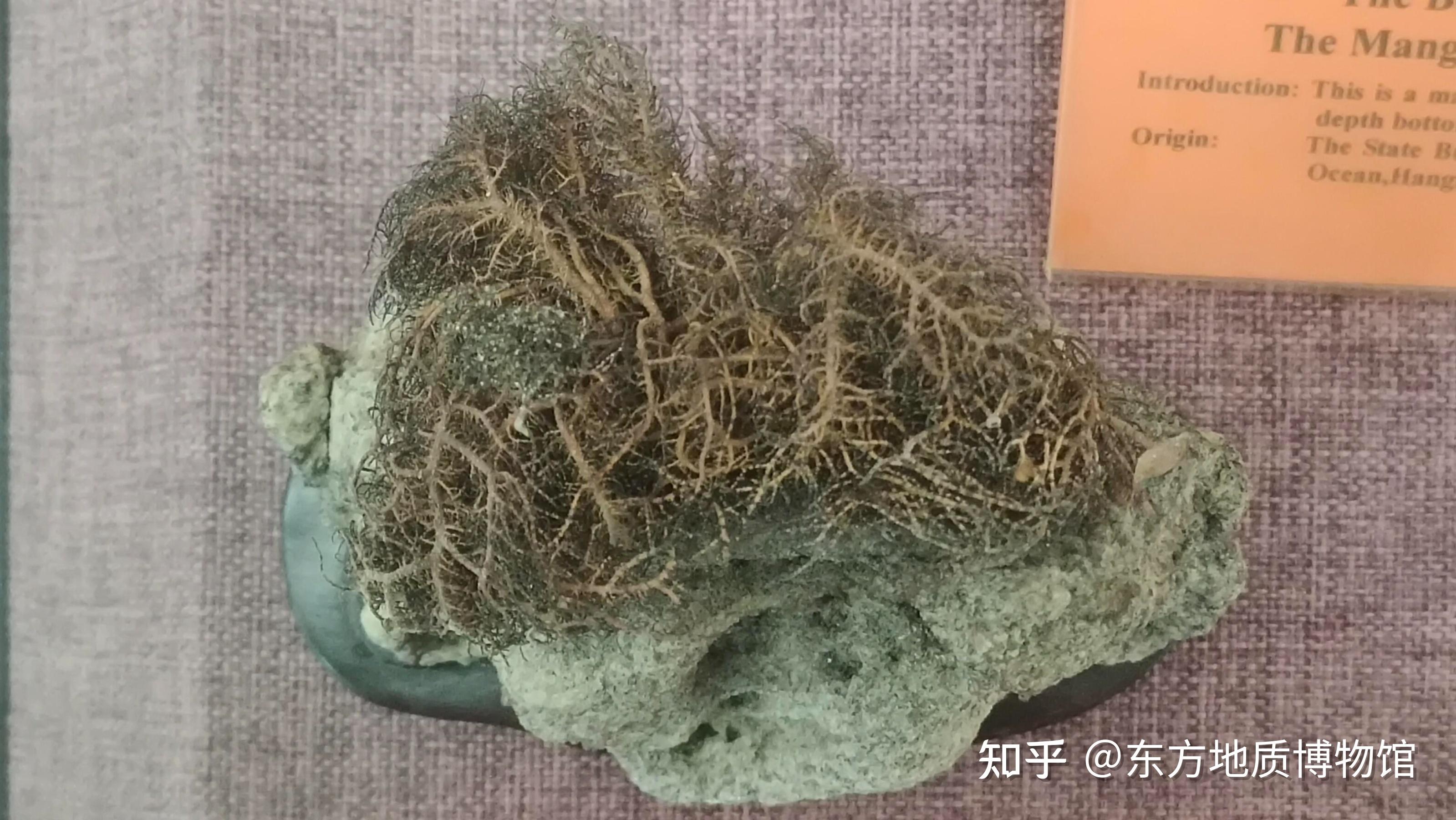 南极石—白云母石英片岩
