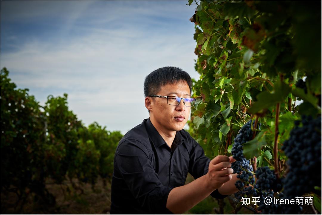 马瑟兰——中国葡萄酒的潜力新星! - 知乎