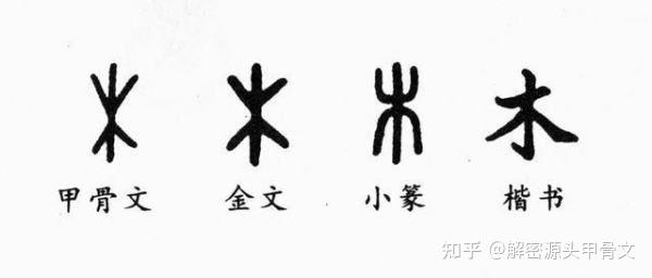 仓颉解字第三篇 解读甲骨文金木水火土 知乎