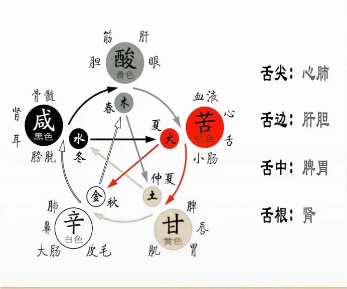 《玄隐遗密》九真要第十一章:灋常式治三之始之紀一(5) - 知乎