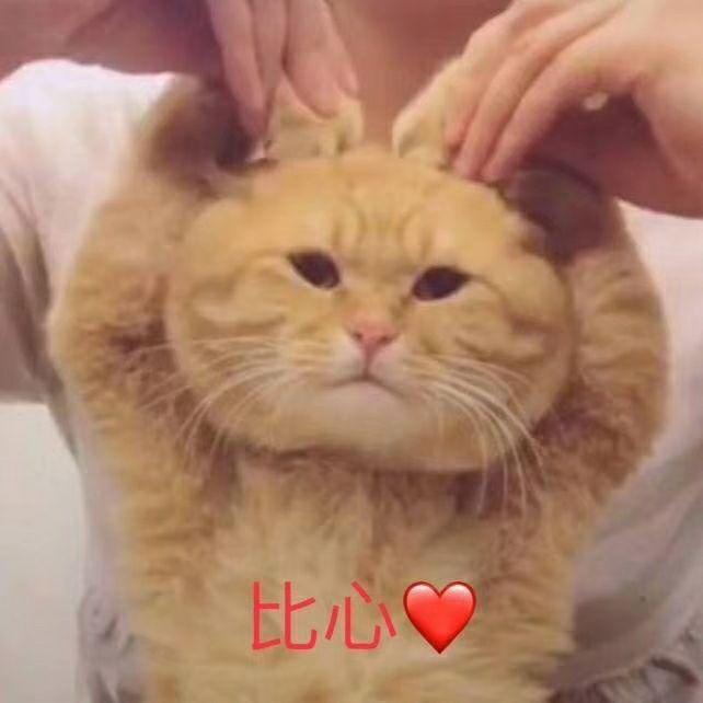 想买坚果pro2.但是舍友的锤子手机不到一年就