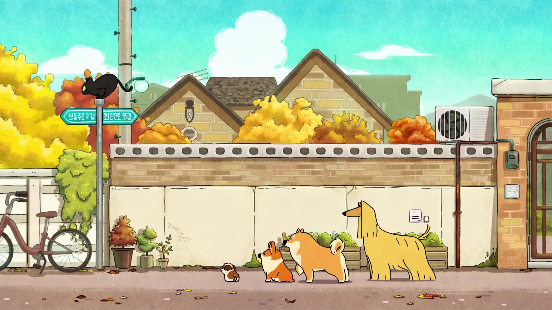 治愈天使,小柯基