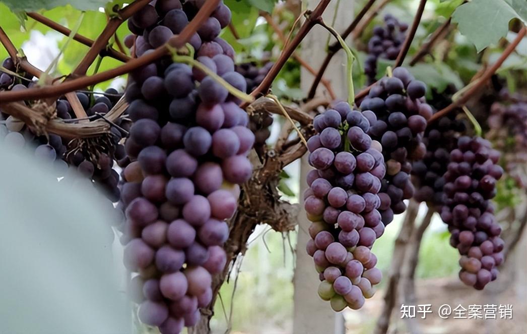 争创天府旅游名县|再见2022,细数那些时光里的小美好