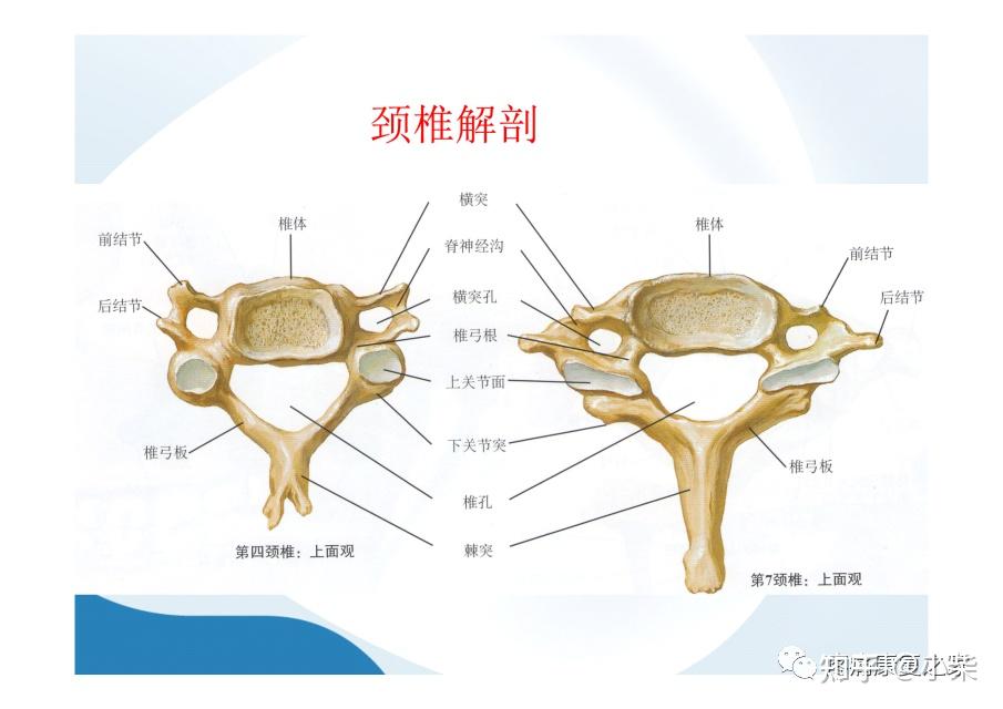 和颈椎病相关的检查