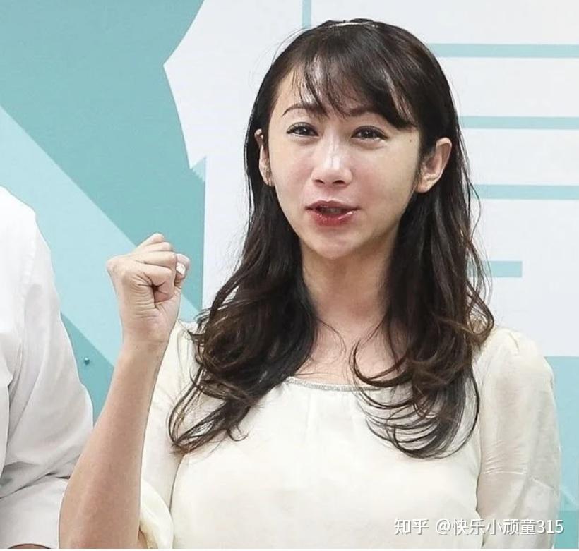 台湾政论节目比相声小品更有意思的快乐之源181绿营人物派系一览续