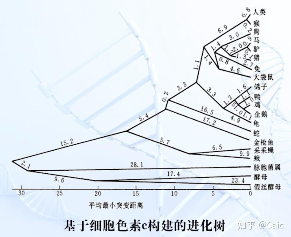 遗传学_16 群体遗传与进化 - 知乎