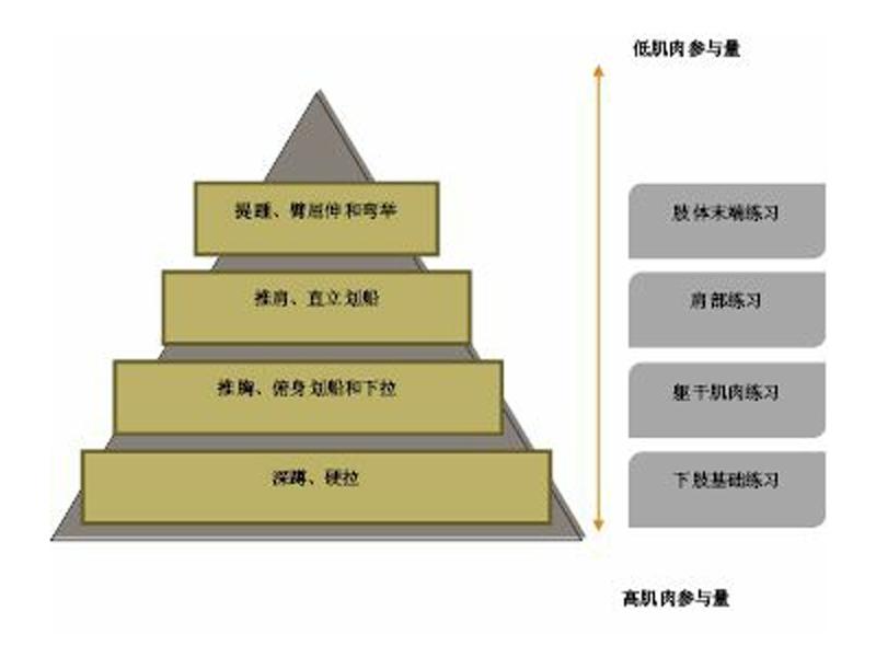 肌肉训练金字塔的塔基是下肢基础练习,它们拥有最高的人体肌肉参与量.